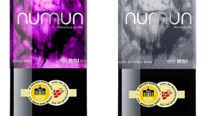 NUMUN